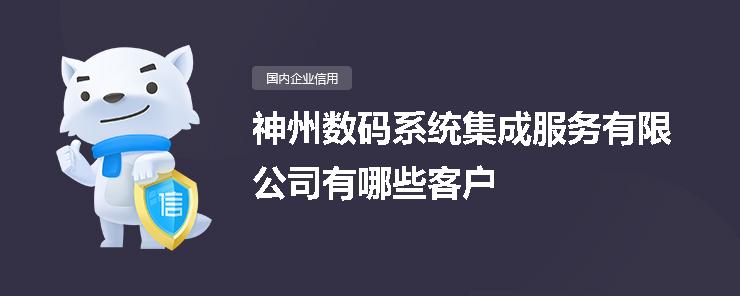 神州数码系统集成服务客户